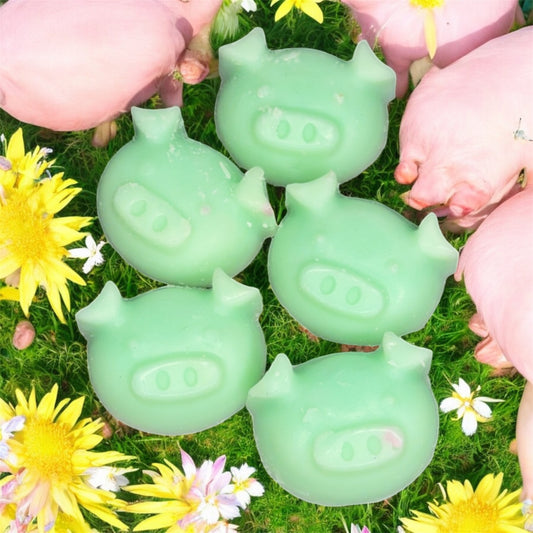 Melt & Mood Wax Melts - 100g